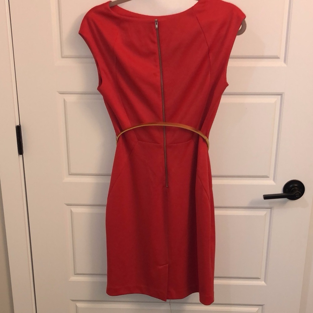 The Limited -belted dress - Picture 3 of 3